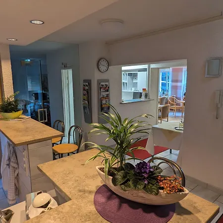 치글러 4* 슈투트가르트